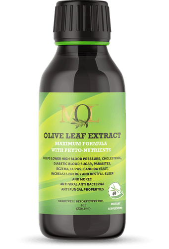 Olive Leaf Extract Maximum Formula with Phyto-Nutrients 16oz - My Olive Leaf 